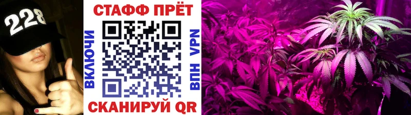 Где купить наркотики Ачинск А ПВП  ГАШИШ  Марихуана  Псилоцибиновые грибы  COCAIN 