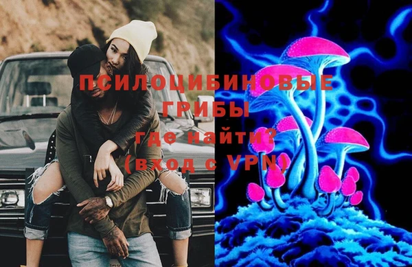 стаф Горно-Алтайск