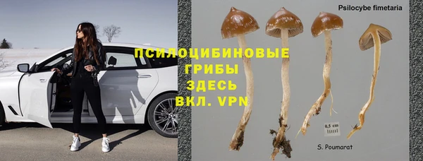 стаф Горно-Алтайск